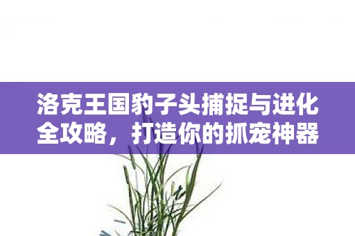 洛克王国豹子头捕捉与进化全攻略，打造你的抓宠神器