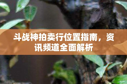斗战神拍卖行位置指南，资讯频道全面解析
