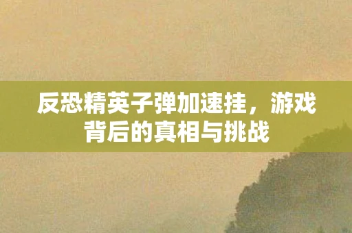 反恐精英子弹加速挂，游戏背后的真相与挑战