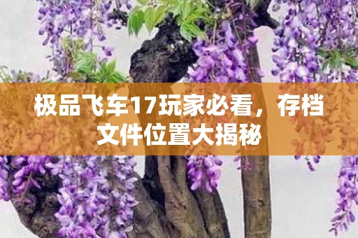 极品飞车17玩家必看，存档文件位置大揭秘