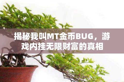 揭秘我叫MT金币BUG，游戏内挂无限财富的真相