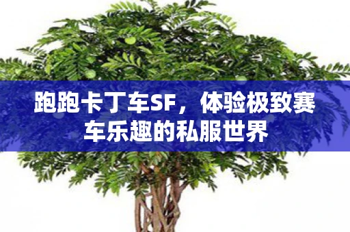 跑跑卡丁车SF，体验极致赛车乐趣的私服世界