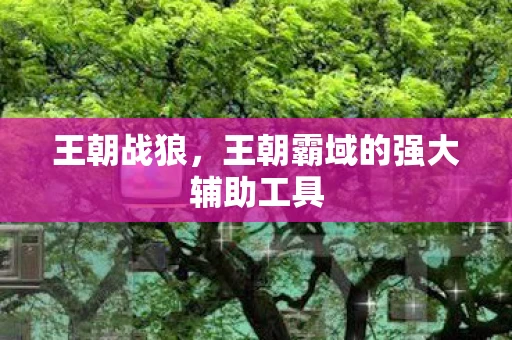 王朝战狼，王朝霸域的强大辅助工具