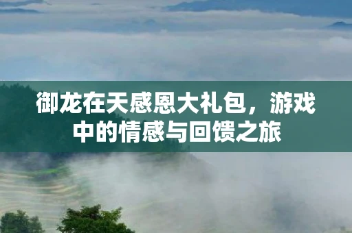 御龙在天感恩大礼包，游戏中的情感与回馈之旅