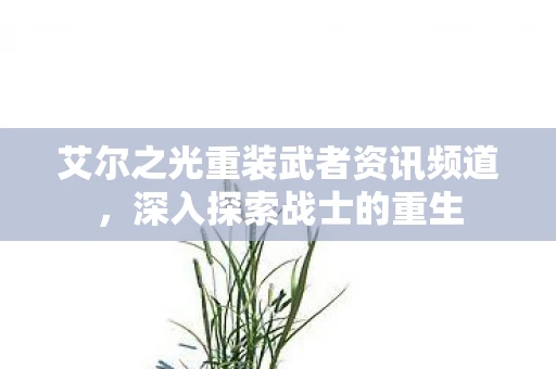 艾尔之光重装武者资讯频道，深入探索战士的重生