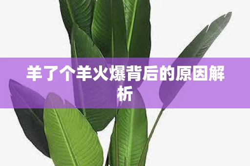 羊了个羊火爆背后的原因解析图片