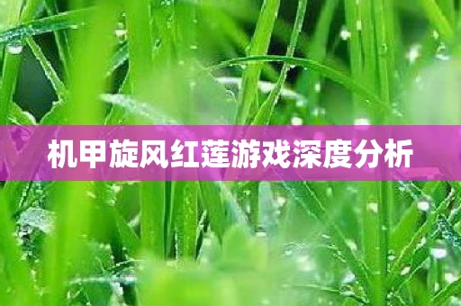 机甲旋风红莲游戏深度分析