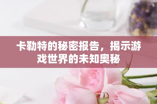 卡勒特的秘密报告，揭示游戏世界的未知奥秘