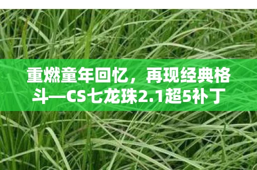 重燃童年回忆，再现经典格斗—CS七龙珠2.1超5补丁建议