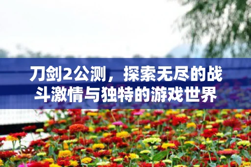 刀剑2公测，探索无尽的战斗激情与独特的游戏世界