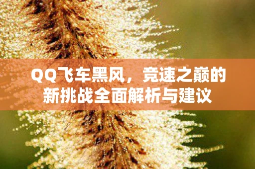 QQ飞车黑风，竞速之巅的新挑战全面解析与建议