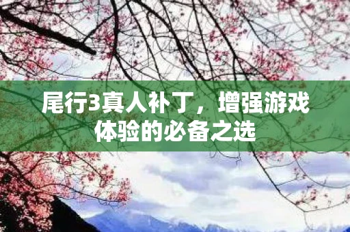 尾行3真人补丁，增强游戏体验的必备之选