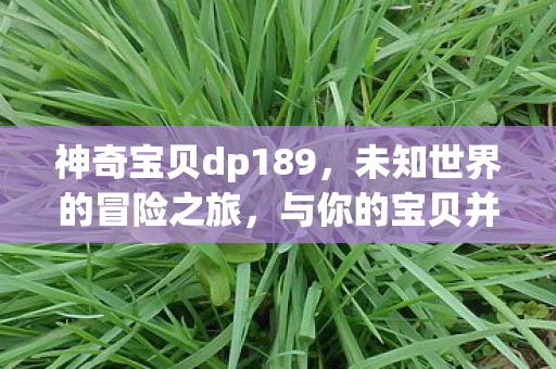 神奇宝贝dp189，未知世界的冒险之旅，与你的宝贝并肩前行