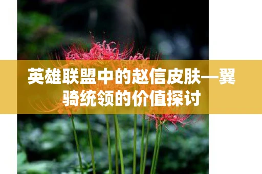 英雄联盟中的赵信皮肤—翼骑统领的价值探讨