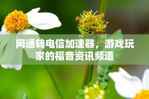 网通转电信加速器，游戏玩家的福音资讯频道