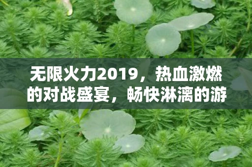 热血激燃的对战盛宴图片