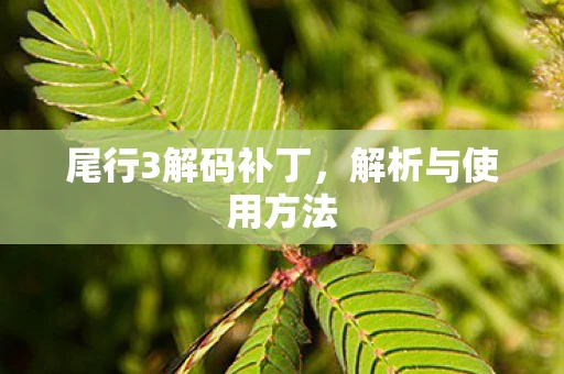 尾行3解码补丁，解析与使用方法