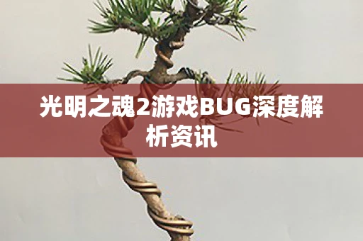光明之魂2游戏BUG深度解析资讯