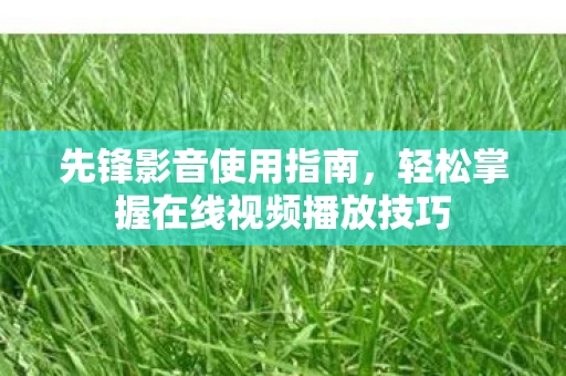 轻松掌握在线视频播放技巧图片