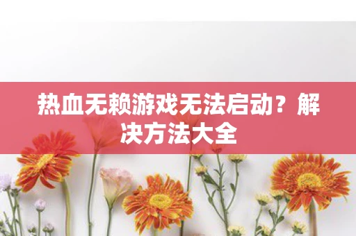热血无赖游戏无法启动？解决方法大全