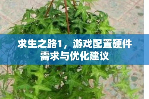 求生之路1，游戏配置硬件需求与优化建议
