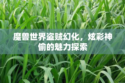 魔兽世界盗贼幻化，炫彩神偷的魅力探索