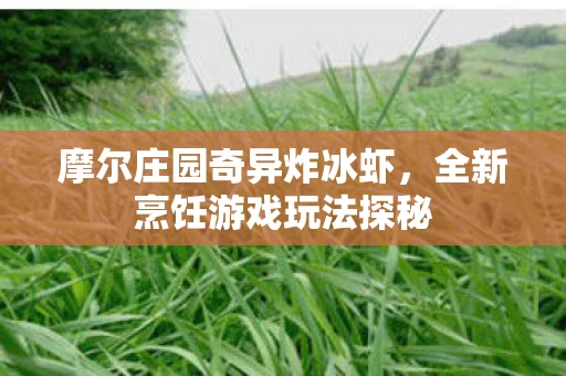 全新烹饪游戏玩法探秘图片