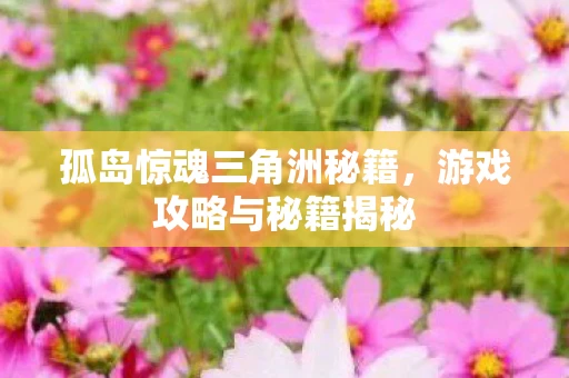 孤岛惊魂三角洲秘籍，游戏攻略与秘籍揭秘