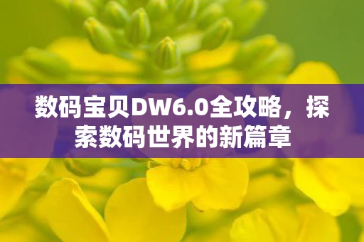 数码宝贝DW6.0全攻略，探索数码世界的新篇章