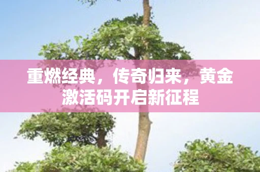 重燃经典，传奇归来，黄金激活码开启新征程