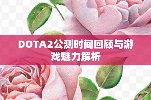 DOTA2公测时间回顾与游戏魅力解析图片