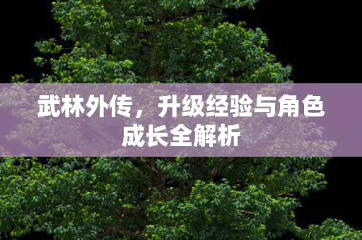 武林外传，升级经验与角色成长全解析