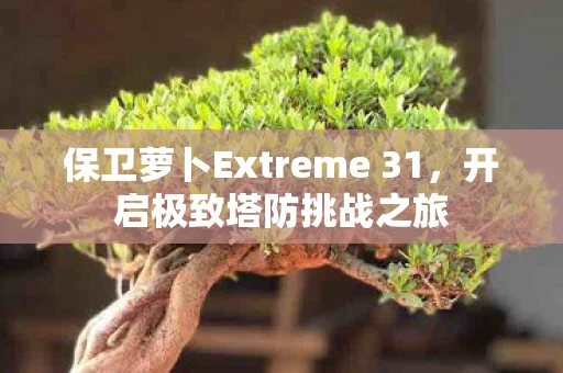 保卫萝卜Extreme 31，开启极致塔防挑战之旅