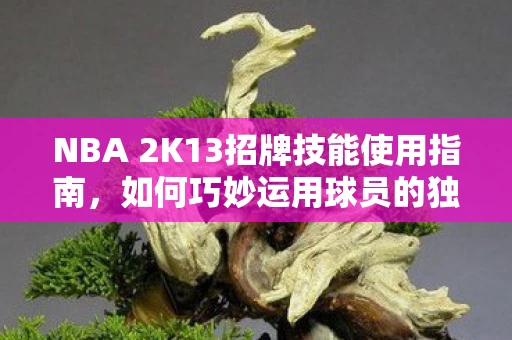 NBA 2K13招牌技能使用指南，如何巧妙运用球员的独特技能