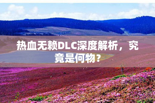 热血无赖DLC深度解析，究竟是何物？