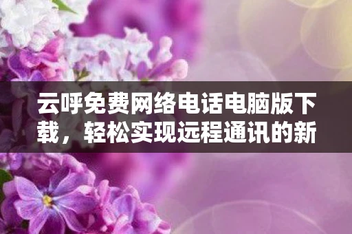 云呼免费网络电话电脑版下载，轻松实现远程通讯的新选择
