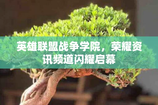 荣耀资讯频道闪耀启幕图片