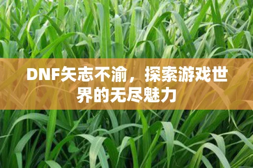 DNF矢志不渝，探索游戏世界的无尽魅力