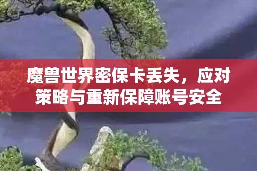 魔兽世界密保卡丢失，应对策略与重新保障账号安全