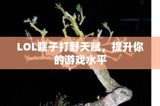 LOL瞎子打野天赋，提升你的游戏水平