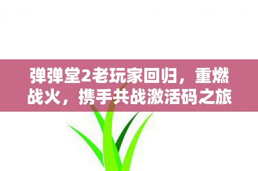 弹弹堂2老玩家回归，重燃战火，携手共战激活码之旅