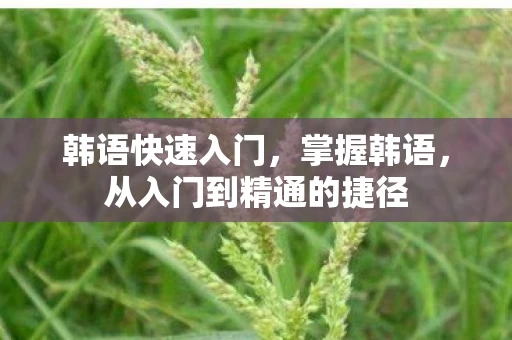 从入门到精通的捷径图片