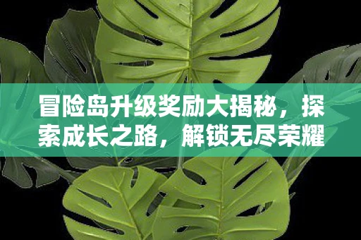 冒险岛升级奖励大揭秘，探索成长之路，解锁无尽荣耀