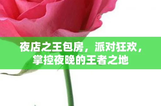 夜店之王包房，派对狂欢，掌控夜晚的王者之地