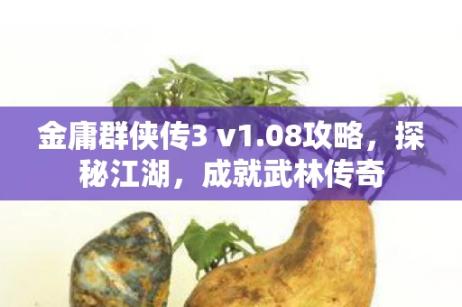 金庸群侠传3 v1.08攻略，探秘江湖，成就武林传奇