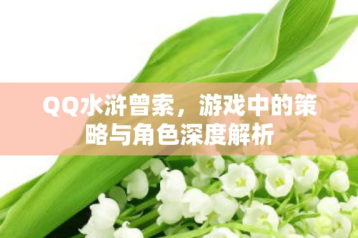 QQ水浒曾索，游戏中的策略与角色深度解析