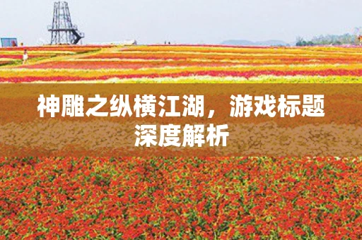 神雕之纵横江湖，游戏标题深度解析
