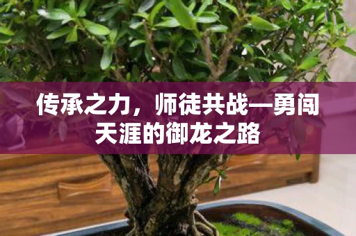 传承之力，师徒共战—勇闯天涯的御龙之路