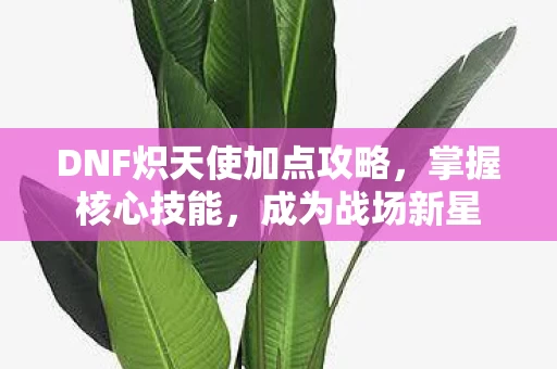 DNF炽天使加点攻略图片