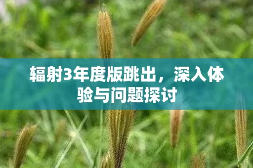 辐射3年度版跳出，深入体验与问题探讨